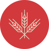 icono_de_trigo